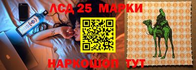 крисы Кандалакша