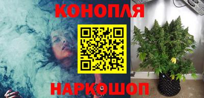 крисы Кандалакша
