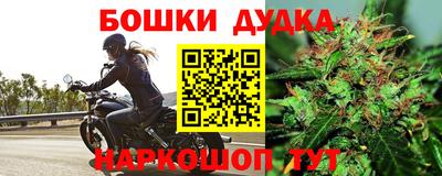 крисы Кандалакша