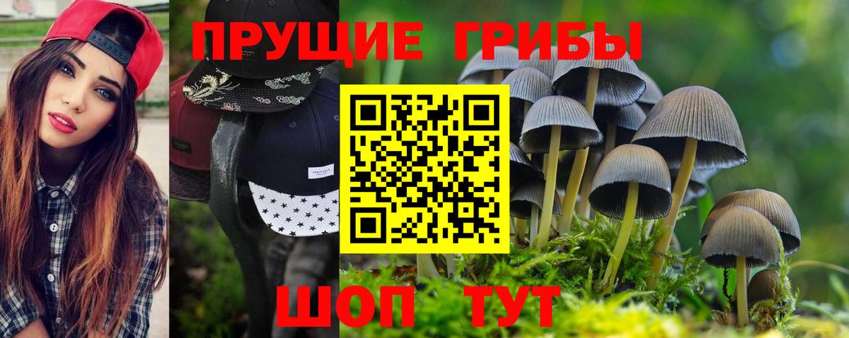 Псилоцибиновые грибы GOLDEN TEACHER Королёв