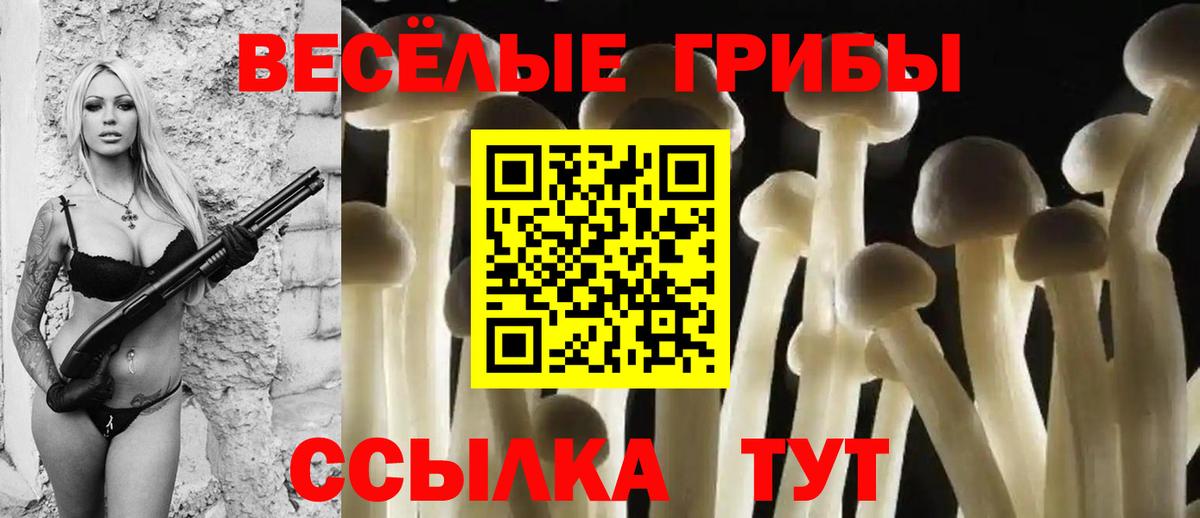 Конопля  Королёв  Cocaine  Cocaine  Кетамин  Вход с VPN  ГАШИШ  МЕФ кристаллы  Амфетамин   LSD-25 