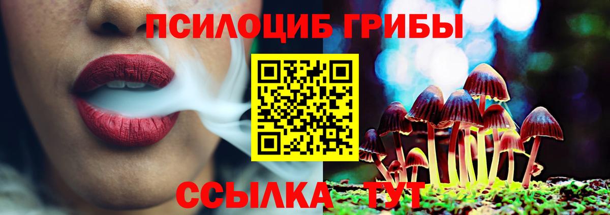Королёв  как найти закладки  Вход с VPN  Галлюциногенные грибы GOLDEN TEACHER 